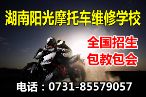 ��늾S�ް����֙C�S�ް�����X�S�ް࣬늹�������������Һ���ҕ�S�ް���늄ӹ��߾S�ްࡢ늄�܇Ħ��܇�S�ް����W(w��ng)�j(lu��)�I�N��Ӗ(x��n)���W(w��ng)վ�O(sh��)Ӌ��Ӗ(x��n)���Ԍ���Ӗ(x��n)---ȫ������